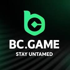 Exploring the Exciting World of BC.Game Match Betting